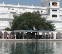 Ber Baba Budha Ji in golden temple amritsar